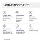 THE CLEANSING GEL - Reveance Skincare